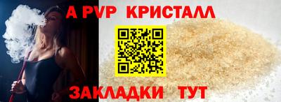гашик Майкоп