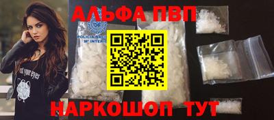 гашик Майкоп
