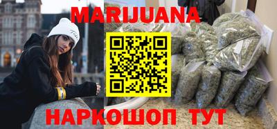 гашик Майкоп