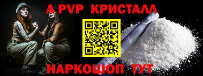 гашик Майкоп