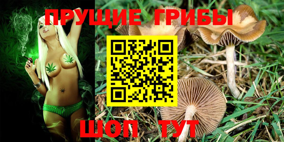 Новошахтинск  ГАШ  Вход с VPN  Вейп ТГК  МЕФ кристаллы  Конопля 