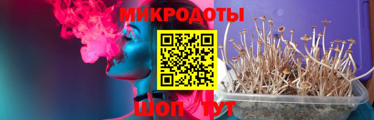 Псилоцибиновые грибы GOLDEN TEACHER  Псилоцибиновые грибы мухоморы  Новошахтинск  Вход с VPN 